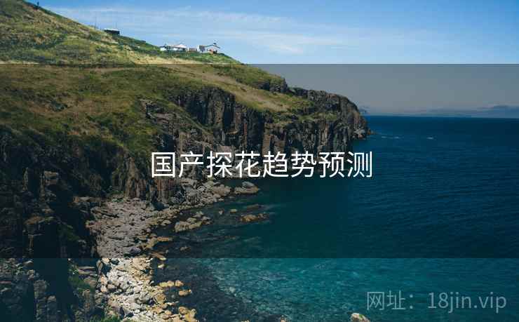 国产探花趋势预测  第2张 国产探花趋势预测  第2张