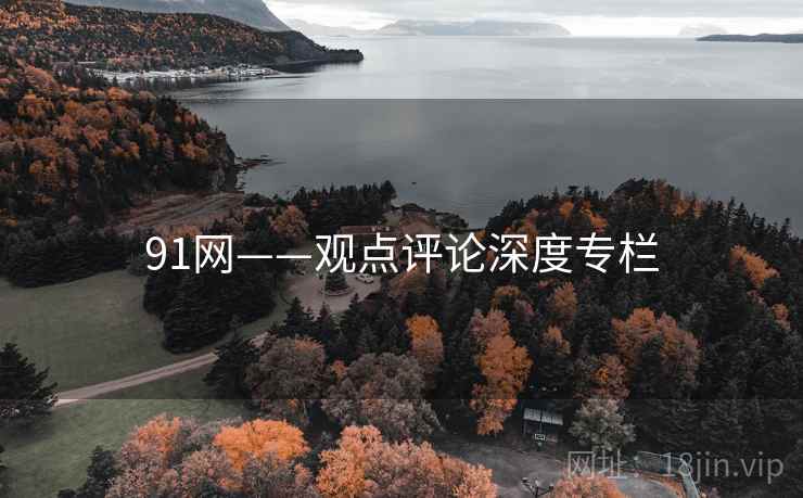 91网——观点评论深度专栏  第2张 91网——观点评论深度专栏  第2张