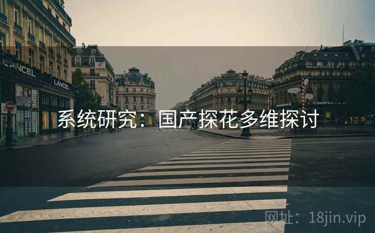 系统研究:国产探花多维探讨  第2张 系统研究:国产探花多维探讨  第2张
