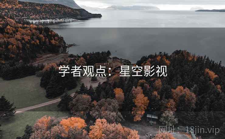 学者观点：星空影视