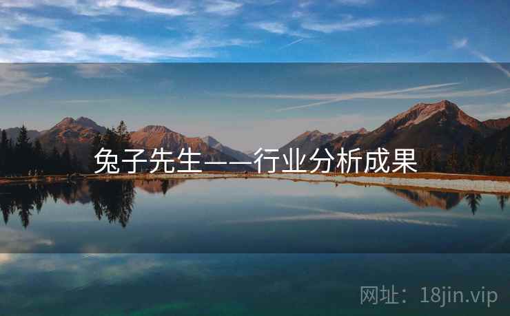 兔子先生——行业分析成果  第1张 兔子先生——行业分析成果  第1张