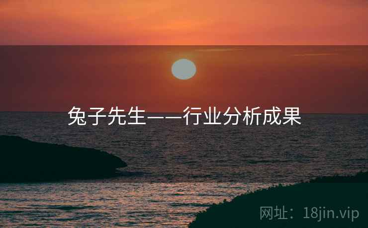兔子先生——行业分析成果  第2张 兔子先生——行业分析成果  第2张