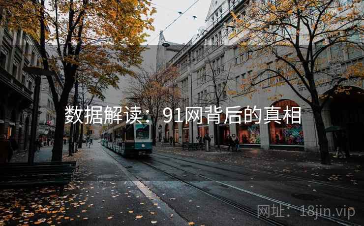 数据解读：91网背后的真相  第2张