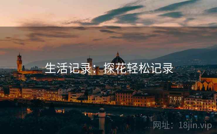 生活记录:探花轻松记录