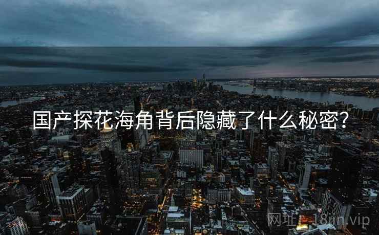 国产探花海角背后隐藏了什么秘密？