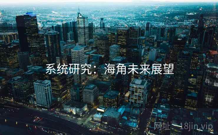 系统研究：海角未来展望