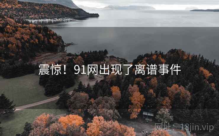 震惊!91网出现了离谱事件  第2张 震惊!91网出现了离谱事件  第2张