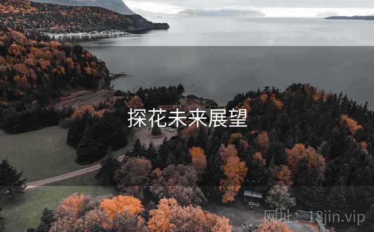 探花未来展望