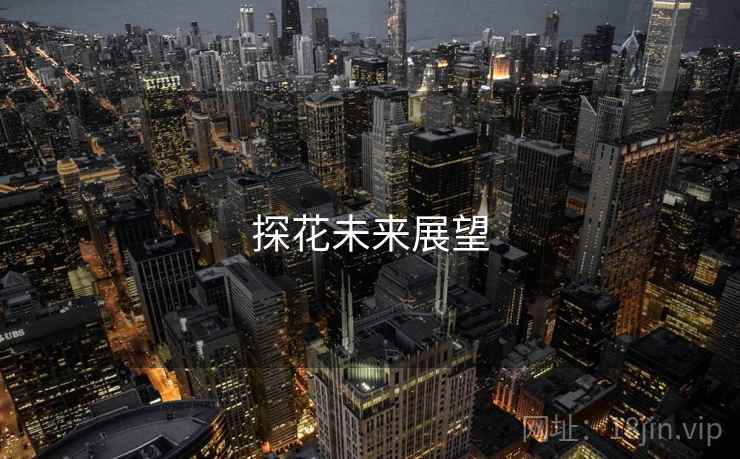 探花未来展望