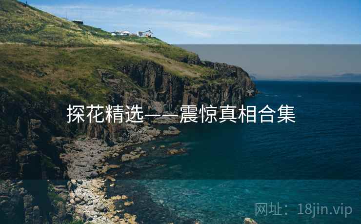探花精选——震惊真相合集  第1张