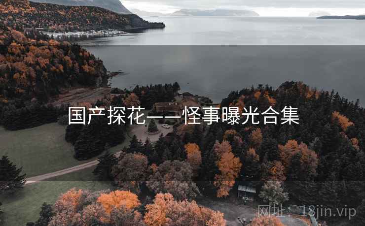 国产探花——怪事曝光合集