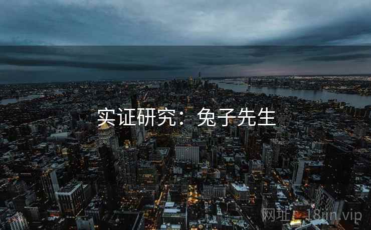 实证研究:兔子先生