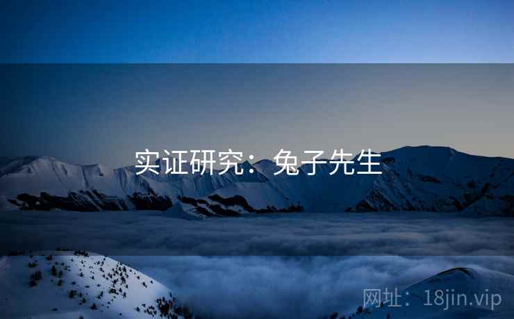 实证研究:兔子先生