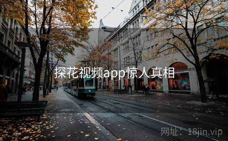 探花视频app惊人真相